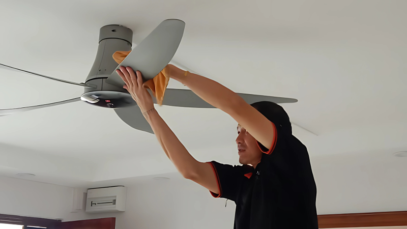 spring cleaning services
